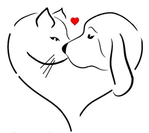 candj-cat-and-dog-heart